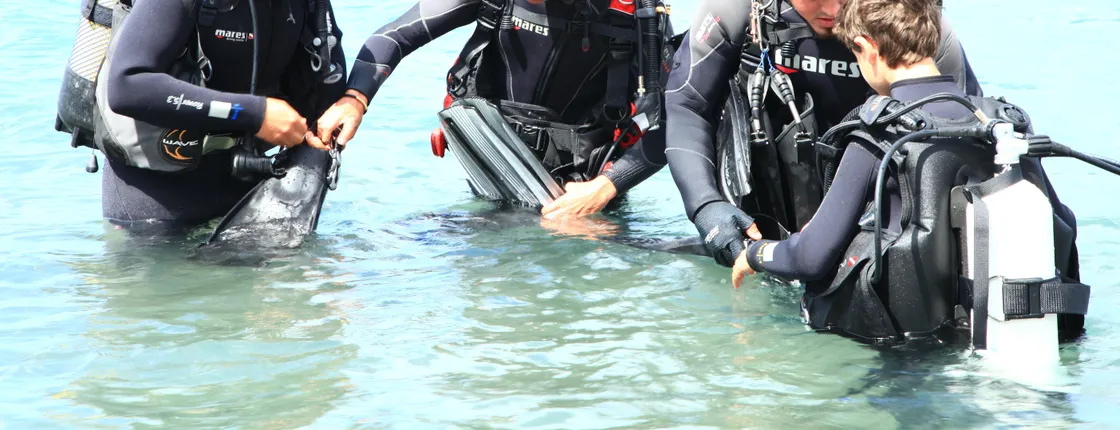 Rubicon Beginners' Dives