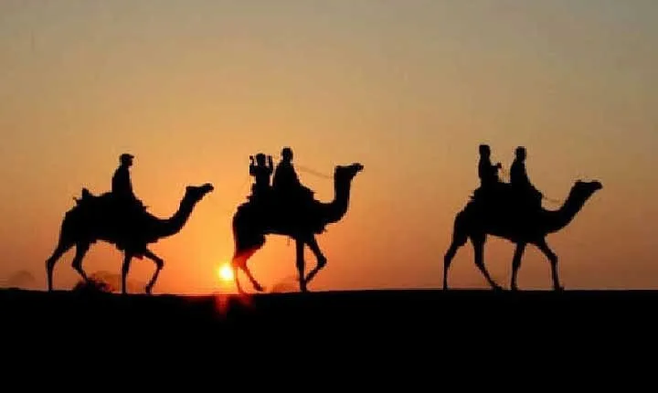 Overnight Camel Safari