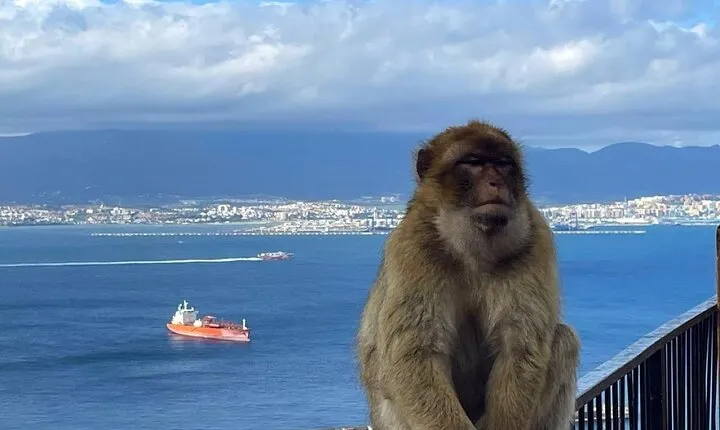 Gibraltar Private Daytrip From Malaga