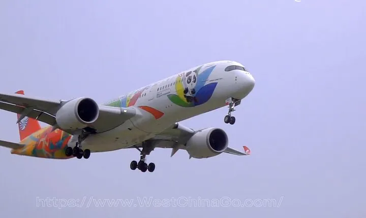 Chengdu Tianfu Airport Private Transfer