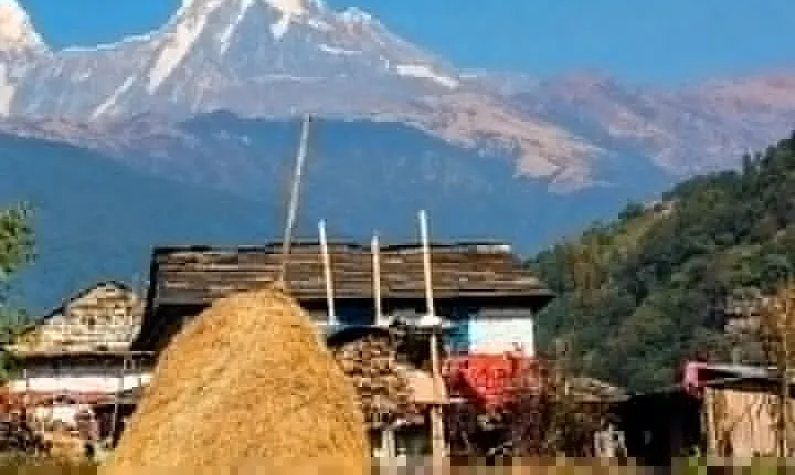 Luwang Village Home Stay Easy Trek with Tea Garden Visit