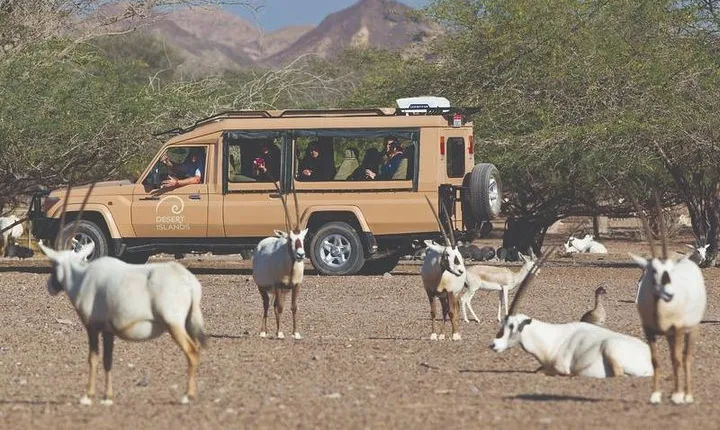 Nature and Wildlife Drive with Lunch- Must do Experience
