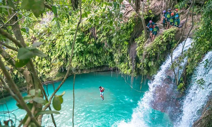 Kawasan Falls Canyoning and Moalboal Sardine Run, Sea Turtles