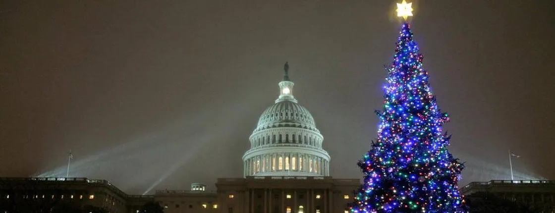 DC holiday lights tour