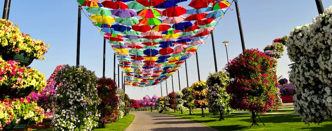 Dubai Miracle Garden and Global Village shopping tour