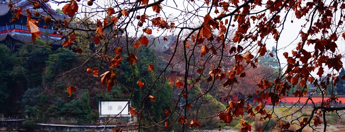 Full day private tour Taoist mountain and Dujiangyan irrigation