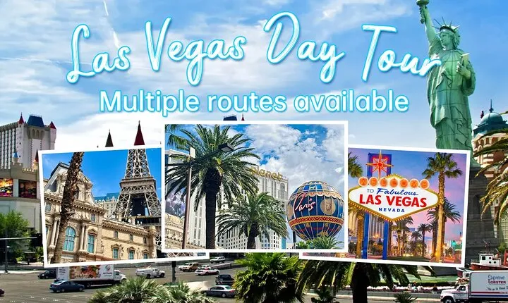 Las Vegas Downtown Private Sightseeing Tour