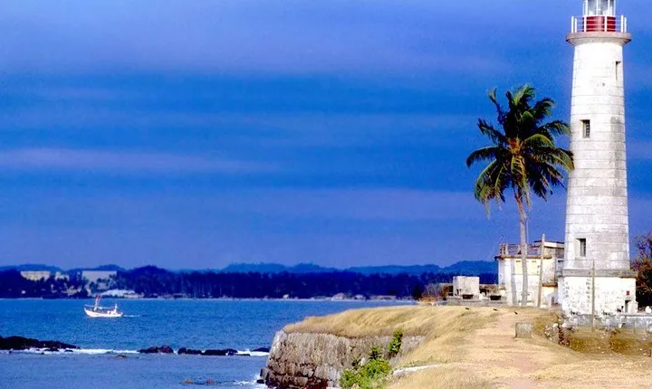 Galle Day Trip With Mangrove Safari From Negombo