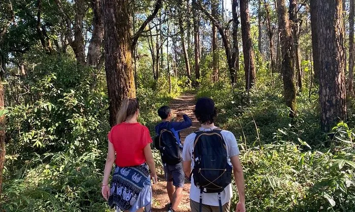 Chiangmai Summit Hike in Doi Suthep-Pui National Park