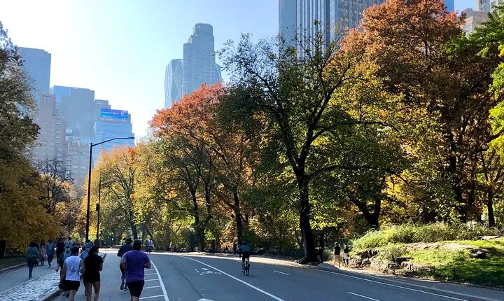 Explore Central Park and Tour Along the Marathon Path
