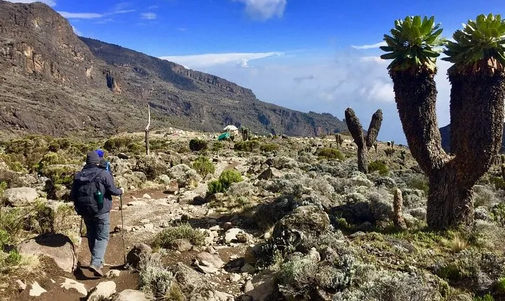 6 Day Private Kilimanjaro Climbing Via Rongai Route