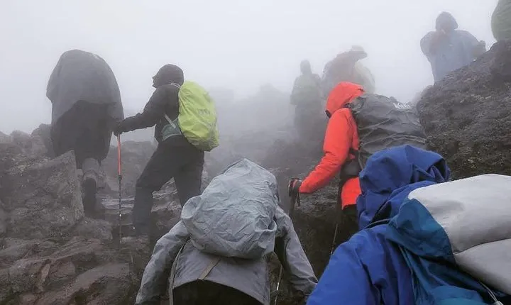 Mt. Kilimanjaro Day Hiking