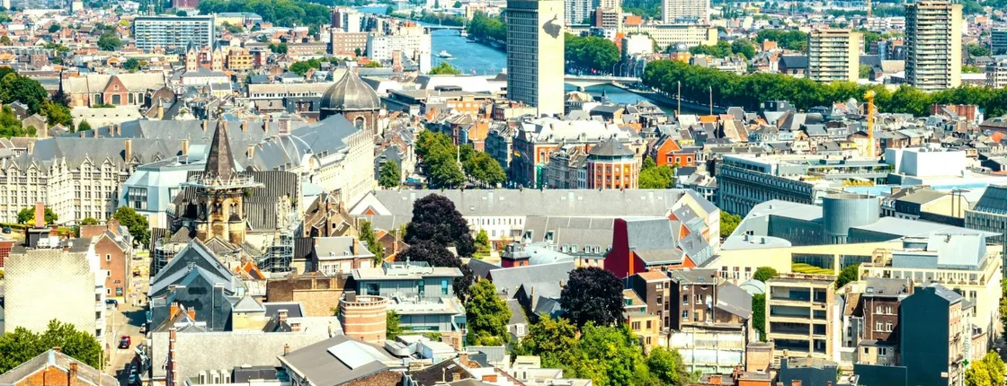 Liège 2-hour intro walking tour with a local
