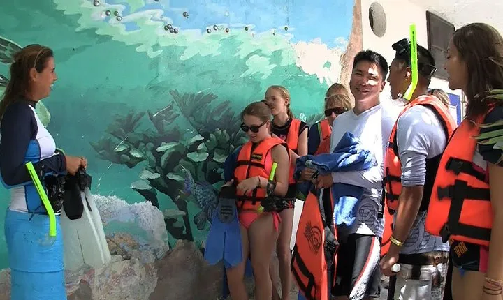 Sea Turtle Snorkeling Ecofriendly Tour from Cancun & Riviera Maya