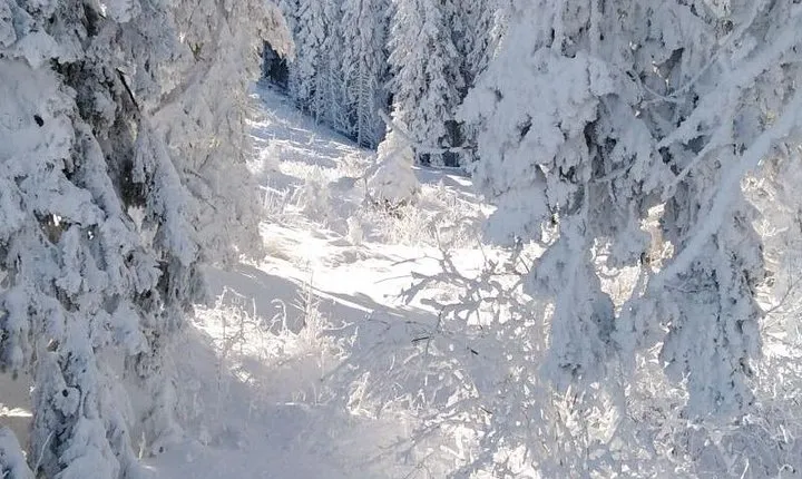 Private 2-day Trip with Snowshoes