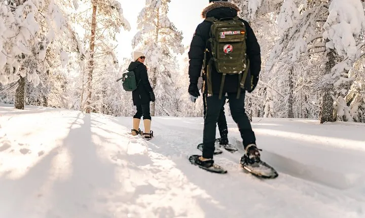 Snowshoeing in the Arctic Wilderness Rovaniemi