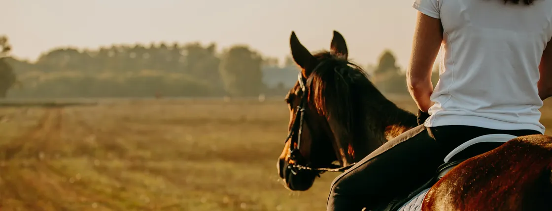 Horse riding private tour in Comporta natural reserve