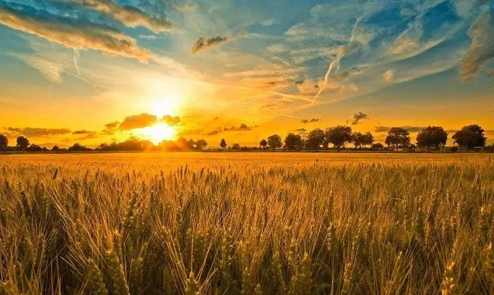 Private Round Trip Transfer to Chongming Island from Shanghai