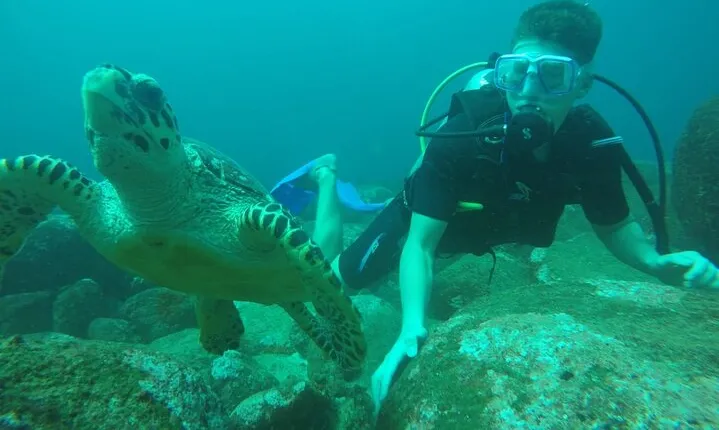 Diving Experience in Mirissa