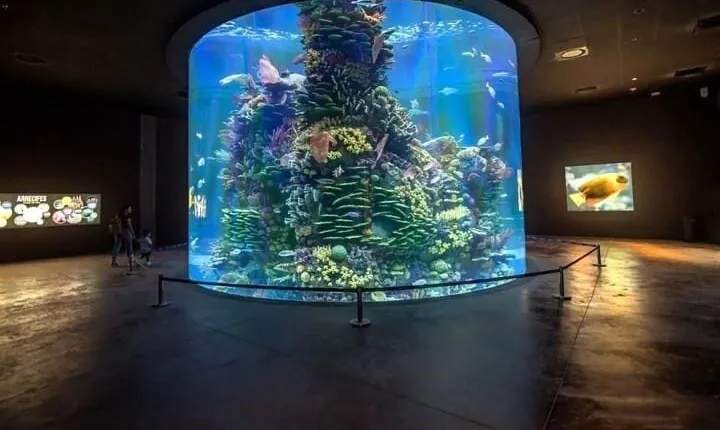 Mazatlan Tour Aquarium and Observatory 1873