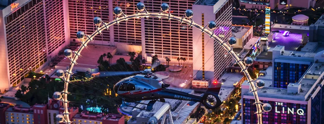 Neon and Nature tour of Las Vegas