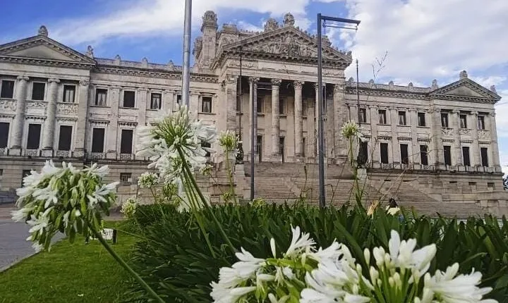 Private Tour in Montevideo with a Local – Urban Heart Tours