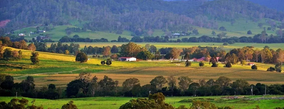 Sunshine coast hinterland country driving tour