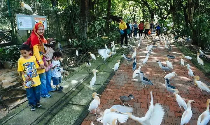 Kuala Lumpur Bird park & Butterfly Farm Tour Include Tickets