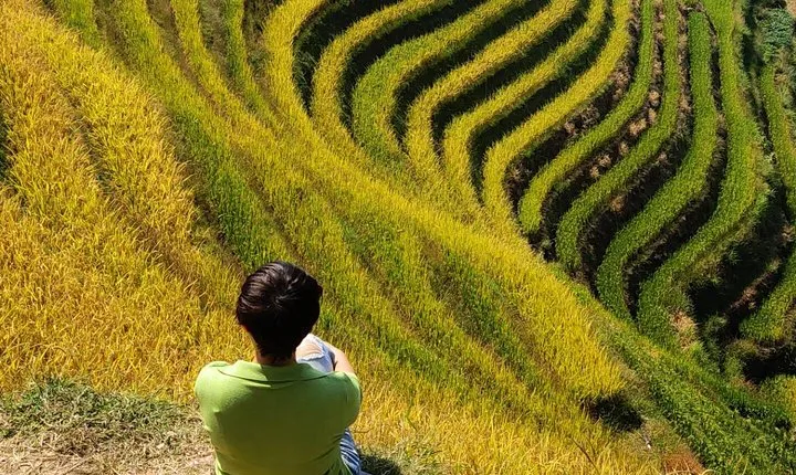 7-Day Private Tour from Beijing to Guilin, Longji Terraces,Sanjiang and Yangshuo