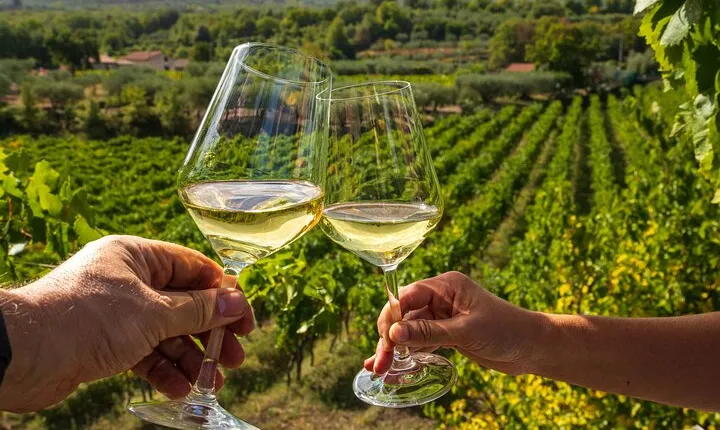 Wine Roads Private Day Tour: Corinth - Ancient Nemea & Wine Tasting