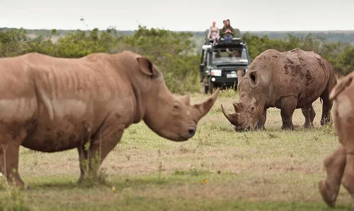 3 Days Solio Ranch and Aberdares Safari on 4x4 Landcruiser Jeep
