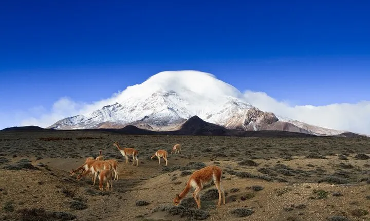 7 Day Private Tour of the Best Places in the Andes and the Amazon