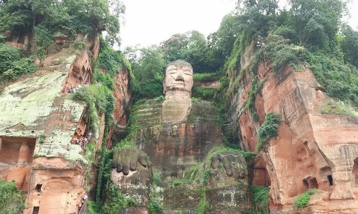 Chengdu Customized Experience: Giant Pandas and Buddha Statue In One Day