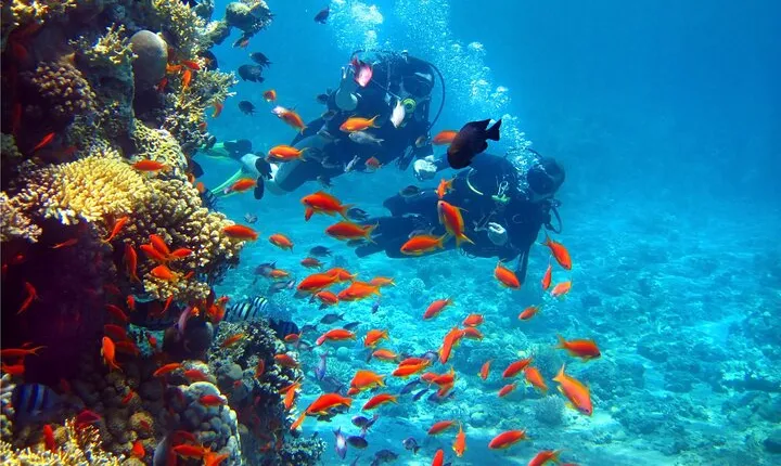Intro Diving & Sea Trip in Masra Mubarak