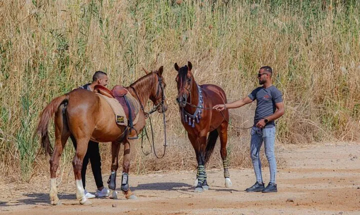Horseback Two Hours Guided Riding with Transfer in Hurghada