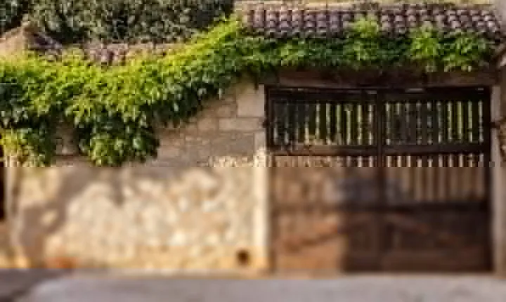 From Verona: Prosecco & Classic method sparkling wine tour, with light lunch