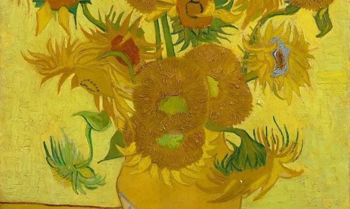 Van Gogh Museum Skip The Queue with Audio Guide