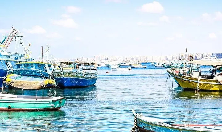 Alexandria Walking Tour-Walk Like Egyptian