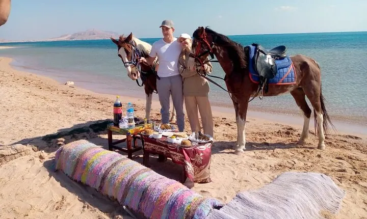 2-Hour Horse Riding on Nabq Bay Beach Transfers – Sharm El Sheikh