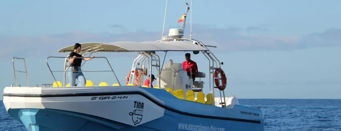 La Gomera Whale Watching Cruise from Playa Santiago