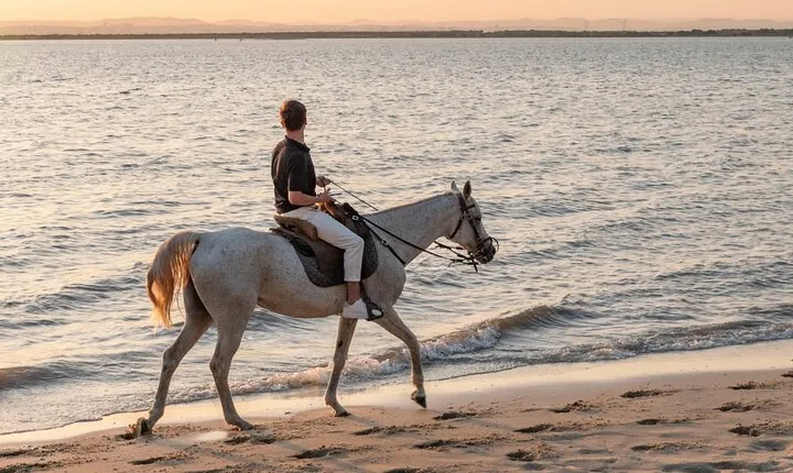 Almada Horse Walk on the Beach Taste Vins and Christ King