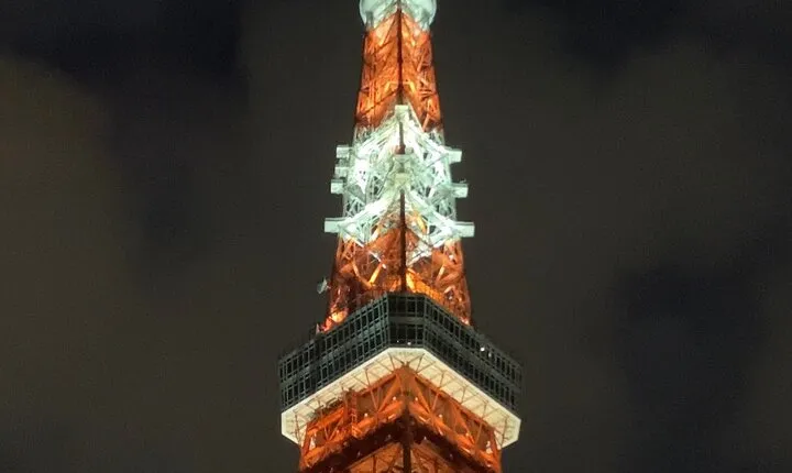 Tokyo tower Private Walking Tour and Night food tour : 6:00pm