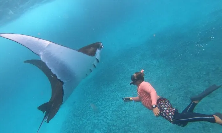 Nusa Penida Island West Snorkeling With Manta Rays