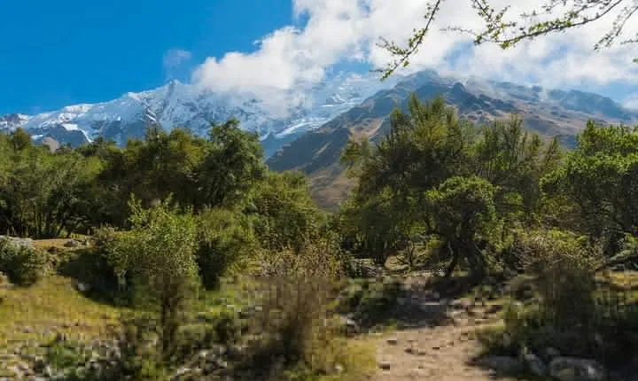 Holistic Sacred Trek Salkantay to Machu Picchu 5 Day