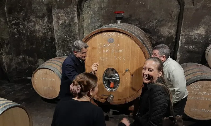 Priorat tour to 3 small wineries and hotel pick-up