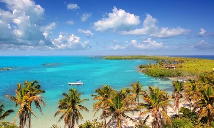 Full-Day Guided Tour to Isla Contoy and Isla Mujeres from Riviera Maya
