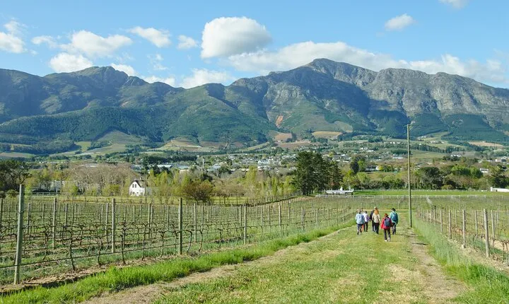 Franschhoek Wine Walk with Lunch