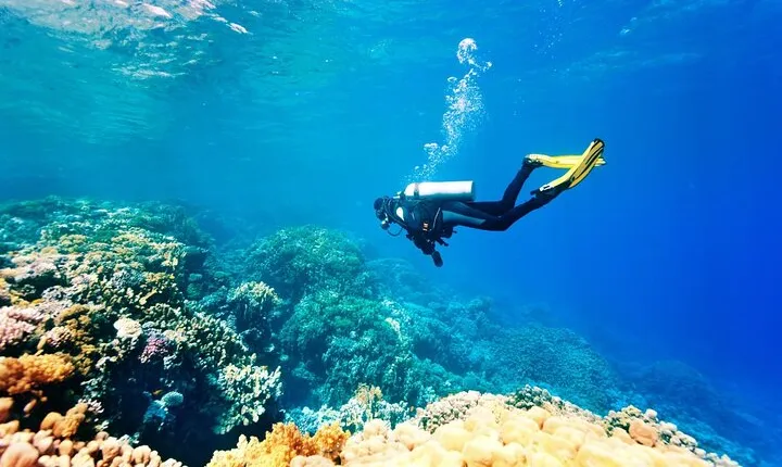 Ras Mohammed Diving & White Island Luxurious Cruise with Lunch