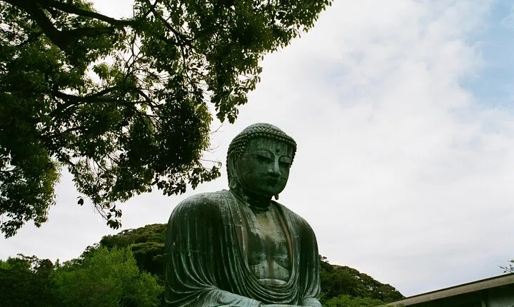 Full Day Private Tour to Kamakura by Luxury Vehicle