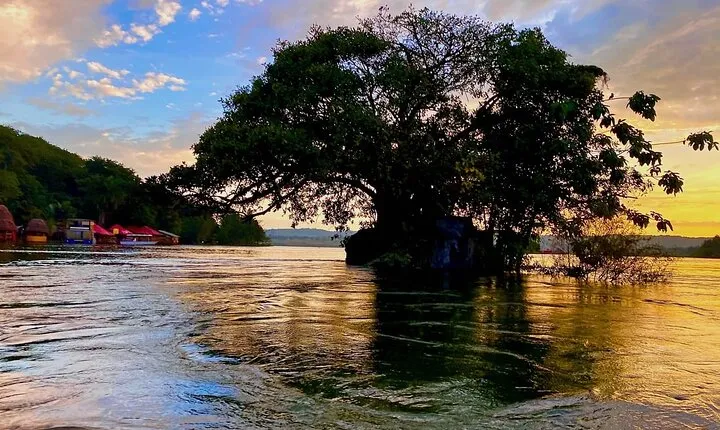 1 day source of the Nile tour